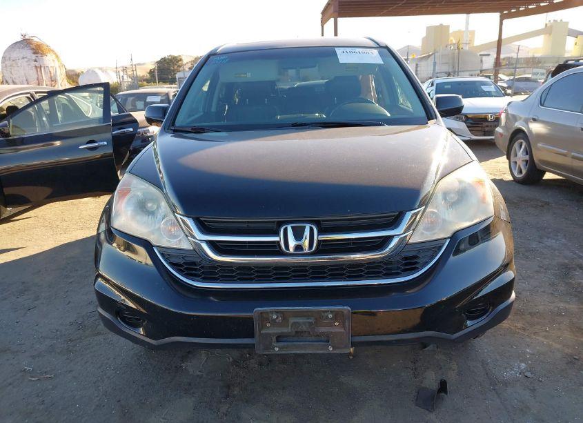 Photo 12 of 2010 Honda Cr-v EX-L (VIN 5J6RE3H71AL003530)