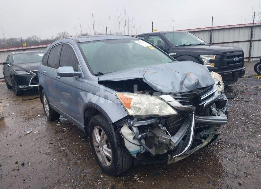 2010 Honda Cr-v EX-L (VIN 5J6RE3H71AL007982) main photo