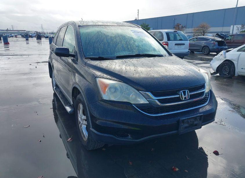 2010 Honda Cr-v EX-L (VIN 5J6RE3H71AL018089) main photo