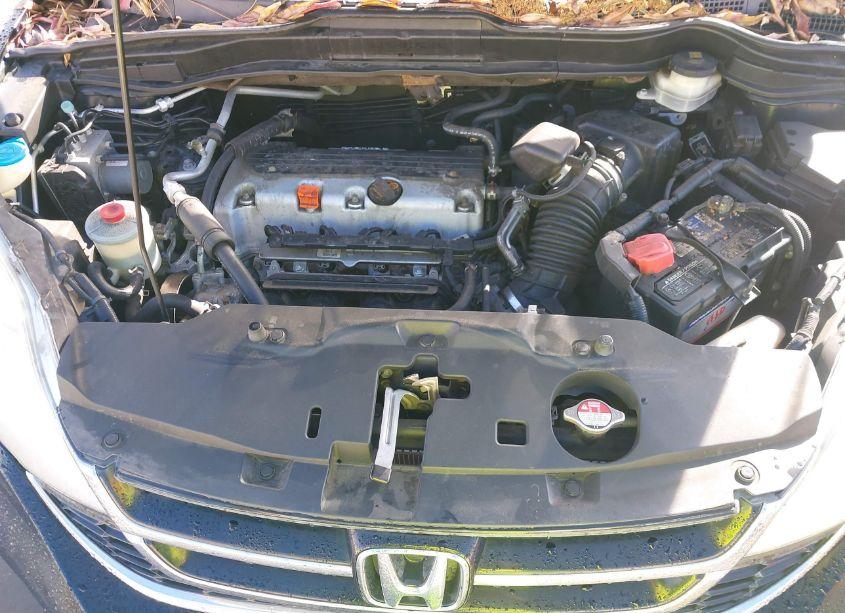 Photo 10 of 2010 Honda Cr-v EX-L (VIN 5J6RE3H71AL018089)