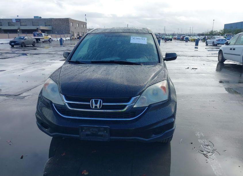 Photo 12 of 2010 Honda Cr-v EX-L (VIN 5J6RE3H71AL018089)