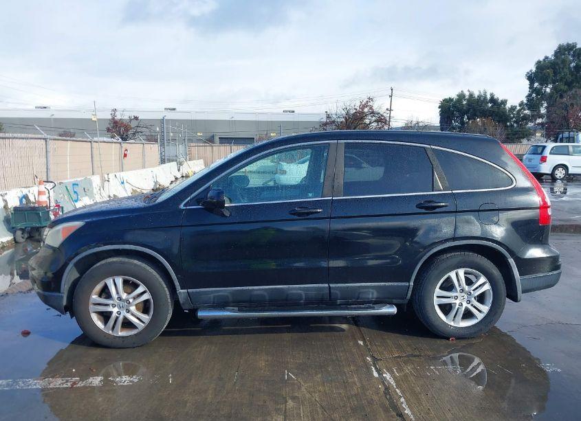 Photo 14 of 2010 Honda Cr-v EX-L (VIN 5J6RE3H71AL018089)