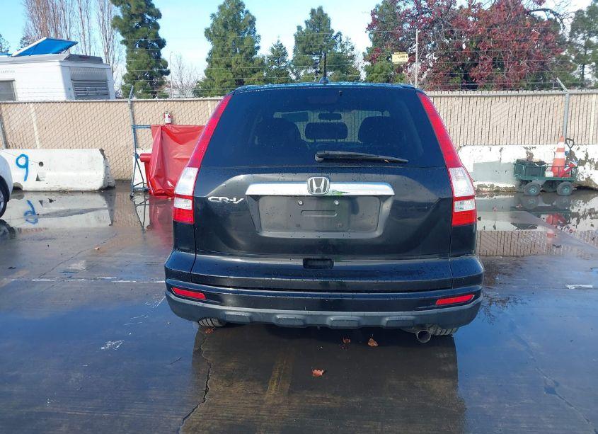 Photo 16 of 2010 Honda Cr-v EX-L (VIN 5J6RE3H71AL018089)