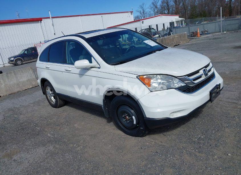 2011 Honda Cr-v EX-L (VIN 5J6RE3H71BL039607) main photo