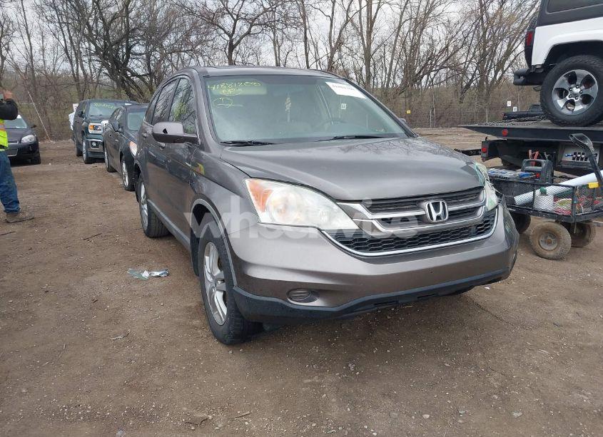 2010 Honda Cr-v EX-L (VIN 5J6RE3H72AL002743) main photo