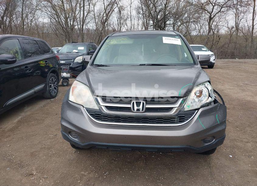 Photo 12 of 2010 Honda Cr-v EX-L (VIN 5J6RE3H72AL002743)
