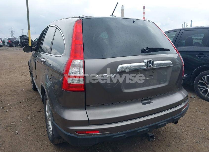 Photo 3 of 2010 Honda Cr-v EX-L (VIN 5J6RE3H72AL002743)