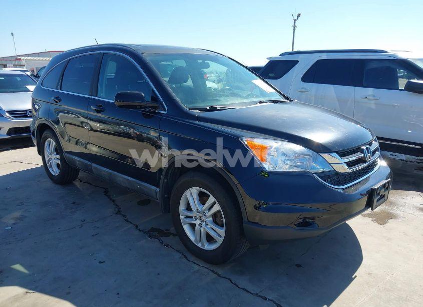 2010 Honda Cr-v EX-L (VIN 5J6RE3H72AL005366) main photo