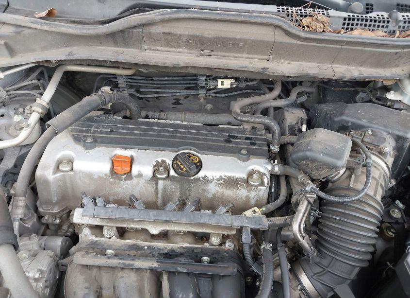 Photo 10 of 2011 Honda Cr-v EX-L (VIN 5J6RE3H74BL041321)