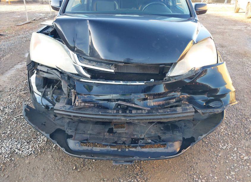 Photo 6 of 2010 Honda Cr-v EX-L (VIN 5J6RE3H75AL013333)