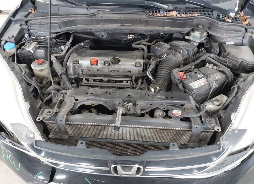 Photo 10 of 2011 Honda Cr-v EX-L (VIN 5J6RE3H75BL037231)