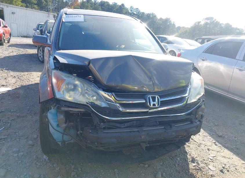 Photo 11 of 2010 Honda Cr-v EX-L (VIN 5J6RE3H76AL022042)