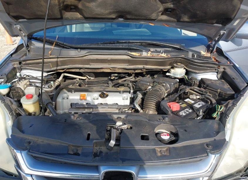 Photo 10 of 2010 Honda Cr-v EX-L (VIN 5J6RE3H76AL027600)