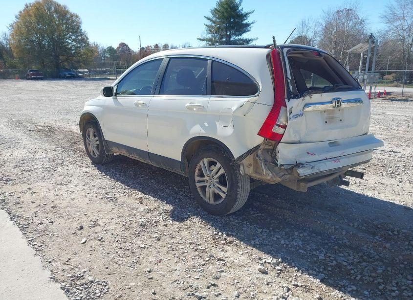 Photo 3 of 2011 Honda Cr-v EX-L (VIN 5J6RE3H76BL049145)