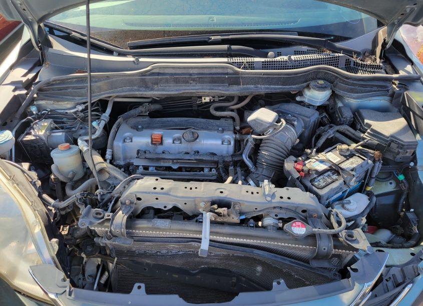 Photo 10 of 2010 Honda Cr-v (VIN 5J6RE3H77AL003564)