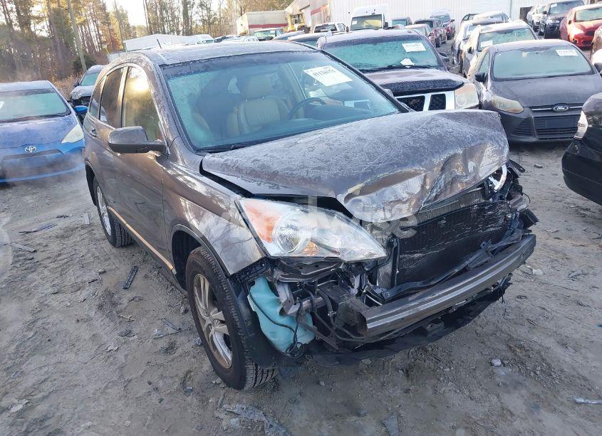 2011 Honda Cr-v EX-L (VIN 5J6RE3H77BL023413) main photo