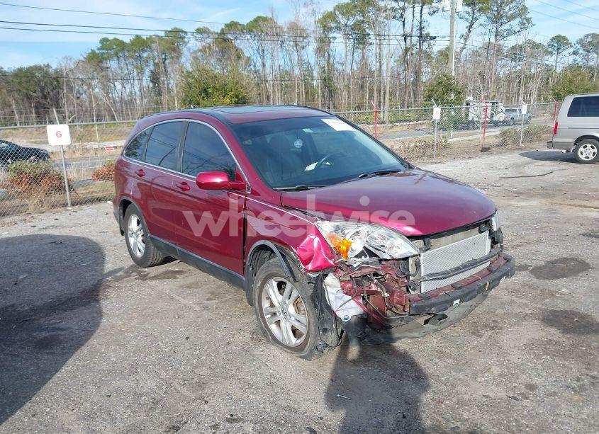 2010 Honda Cr-v EX-L (VIN 5J6RE3H78AL018722) main photo