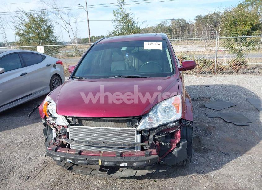 Photo 12 of 2010 Honda Cr-v EX-L (VIN 5J6RE3H78AL018722)