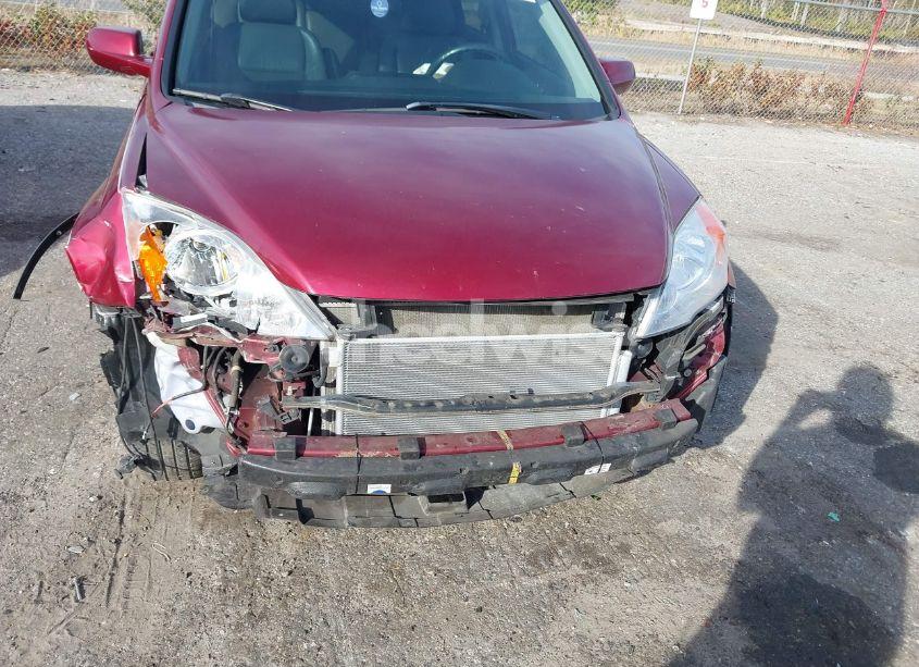 Photo 6 of 2010 Honda Cr-v EX-L (VIN 5J6RE3H78AL018722)