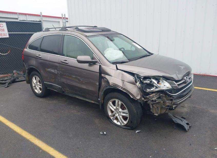 2010 Honda Cr-v EX-L (VIN 5J6RE3H78AL036377) main photo