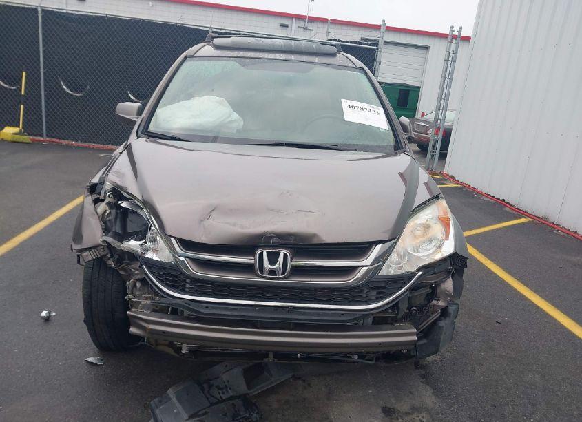 Photo 12 of 2010 Honda Cr-v EX-L (VIN 5J6RE3H78AL036377)