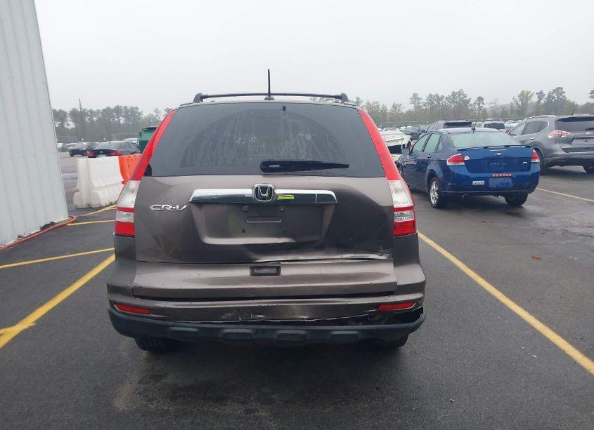 Photo 16 of 2010 Honda Cr-v EX-L (VIN 5J6RE3H78AL036377)