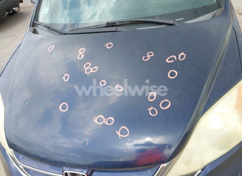 Photo 17 of 2010 Honda Cr-v EX-L (VIN 5J6RE3H79AL023198)