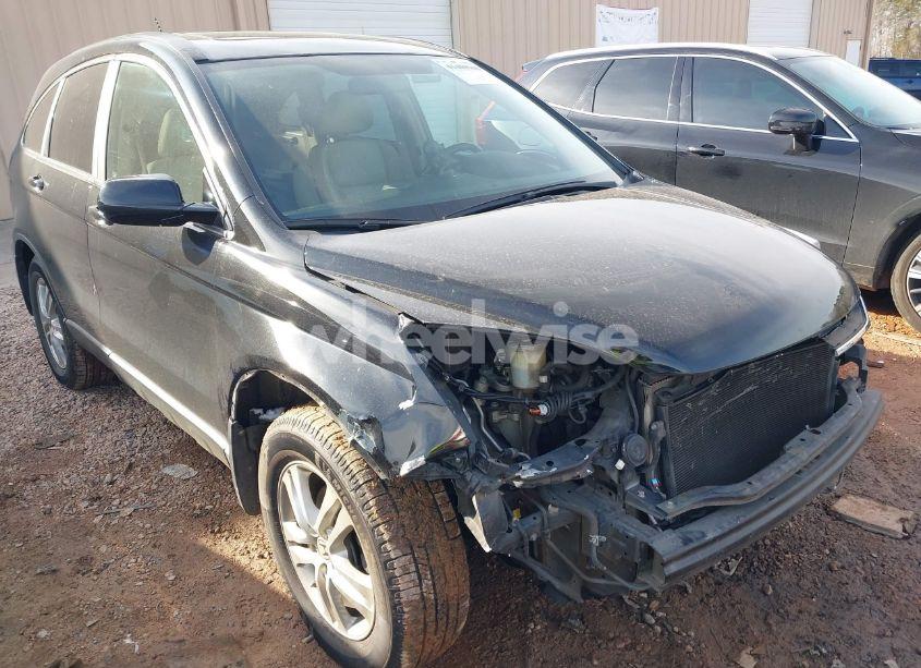 2010 Honda Cr-v EX-L (VIN 5J6RE3H79AL025307) main photo