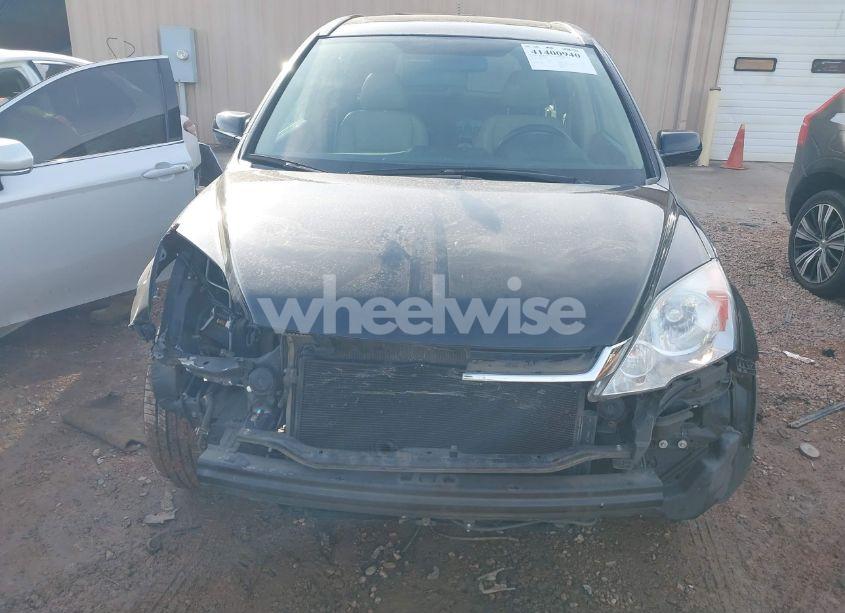 Photo 12 of 2010 Honda Cr-v EX-L (VIN 5J6RE3H79AL025307)