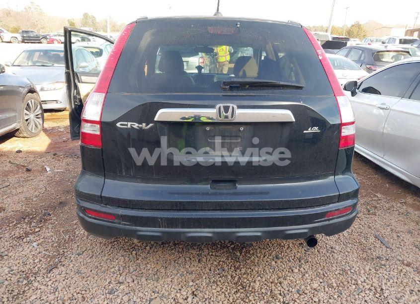 Photo 16 of 2010 Honda Cr-v EX-L (VIN 5J6RE3H79AL025307)