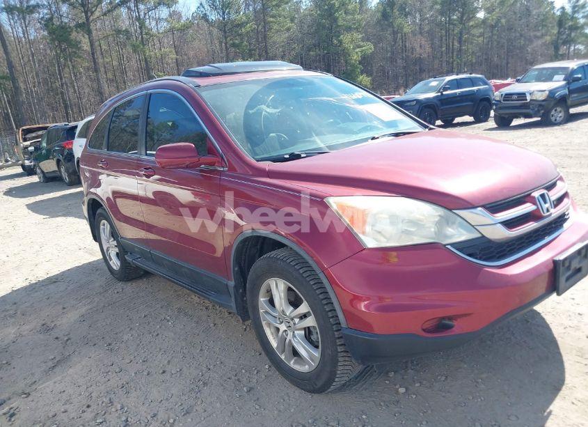 2010 Honda Cr-v EX-L (VIN 5J6RE3H79AL027882) main photo