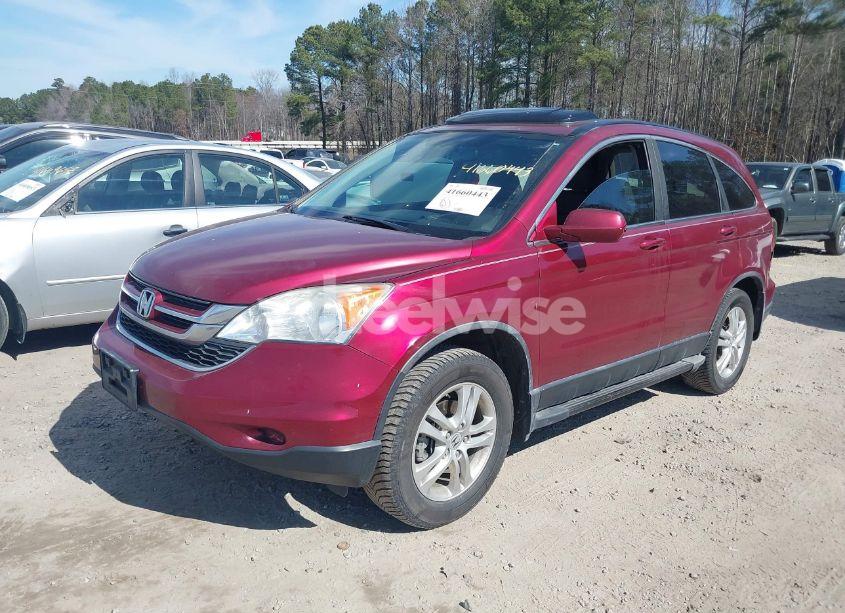 Photo 2 of 2010 Honda Cr-v EX-L (VIN 5J6RE3H79AL027882)