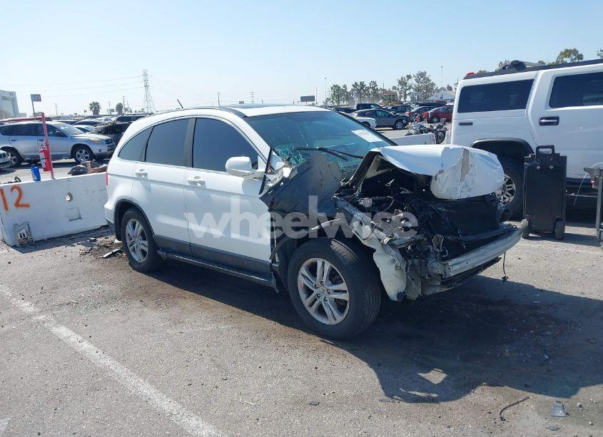 2010 Honda Cr-v EX-L (VIN 5J6RE3H79AL028191) main photo