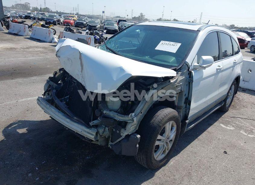 Photo 2 of 2010 Honda Cr-v EX-L (VIN 5J6RE3H79AL028191)