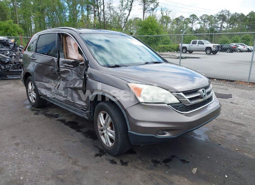 2010 Honda Cr-v EX-L (VIN 5J6RE3H79AL028921) main photo