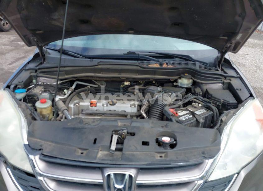 Photo 10 of 2010 Honda Cr-v EX-L (VIN 5J6RE3H79AL028921)