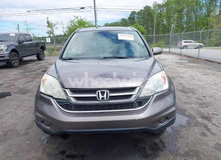 Photo 12 of 2010 Honda Cr-v EX-L (VIN 5J6RE3H79AL028921)