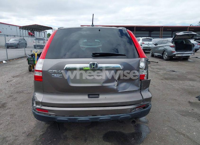 Photo 16 of 2010 Honda Cr-v EX-L (VIN 5J6RE3H79AL028921)
