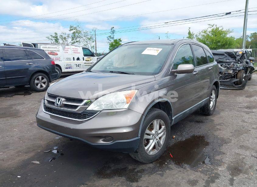 Photo 2 of 2010 Honda Cr-v EX-L (VIN 5J6RE3H79AL028921)