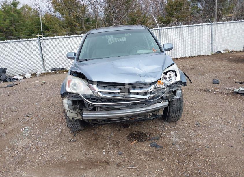 Photo 12 of 2010 Honda Cr-v EX-L (VIN 5J6RE3H79AL037666)