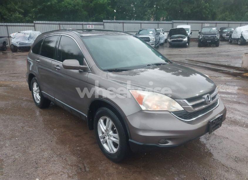 2010 Honda Cr-v EX-L (VIN 5J6RE3H79AL041958) main photo