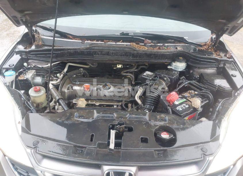 Photo 10 of 2010 Honda Cr-v EX-L (VIN 5J6RE3H79AL041958)