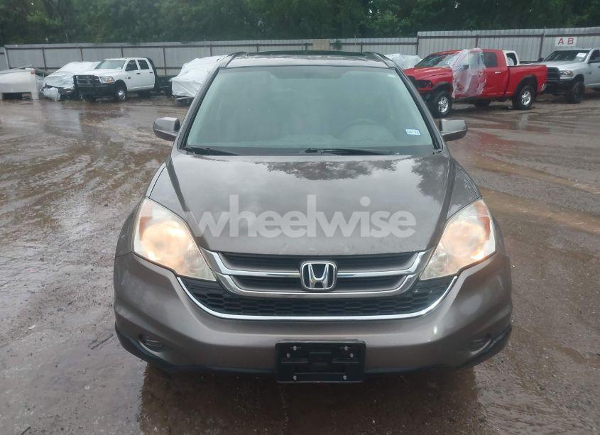 Photo 12 of 2010 Honda Cr-v EX-L (VIN 5J6RE3H79AL041958)