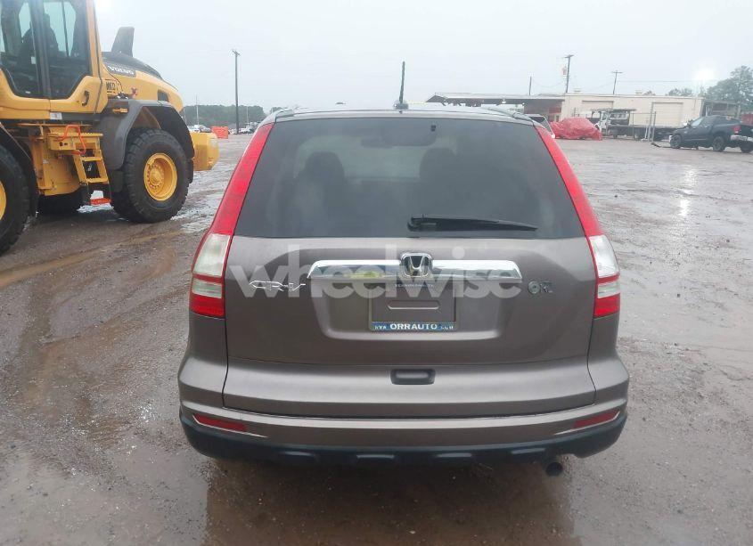 Photo 16 of 2010 Honda Cr-v EX-L (VIN 5J6RE3H79AL041958)