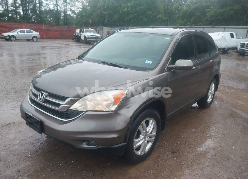 Photo 2 of 2010 Honda Cr-v EX-L (VIN 5J6RE3H79AL041958)