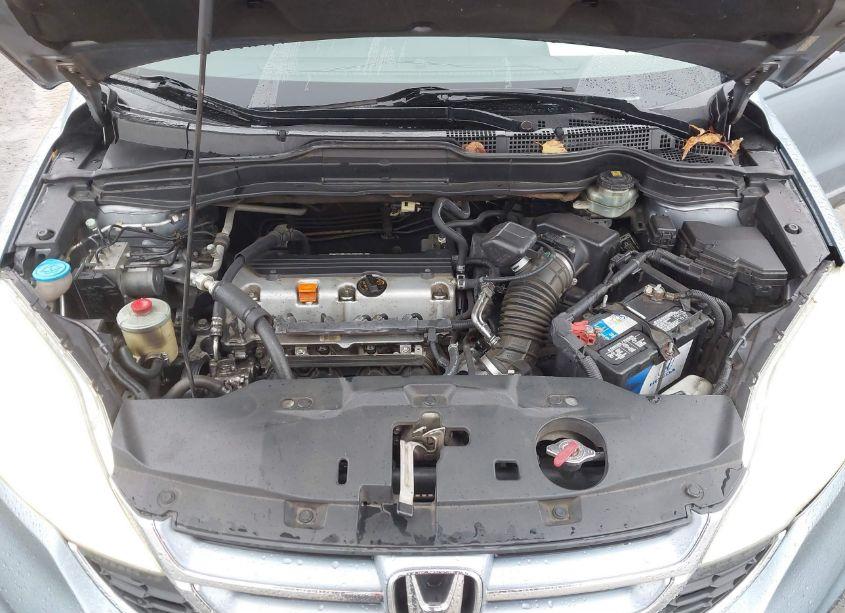 Photo 10 of 2010 Honda Cr-v EX-L (VIN 5J6RE3H7XAL000836)