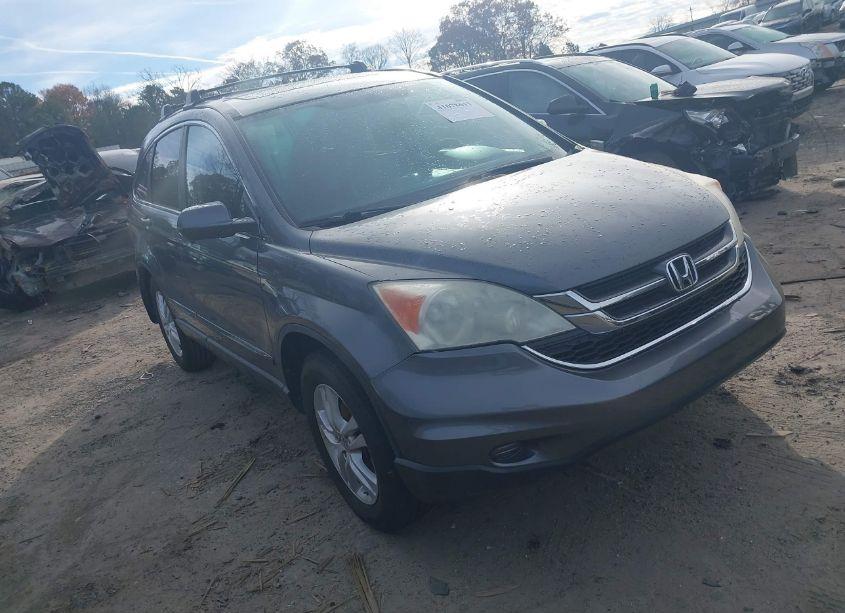 2010 Honda Cr-v EX-L (VIN 5J6RE3H7XAL016762) main photo