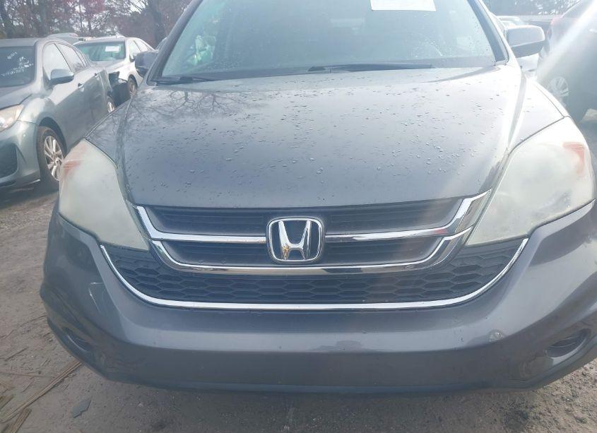 Photo 10 of 2010 Honda Cr-v EX-L (VIN 5J6RE3H7XAL016762)