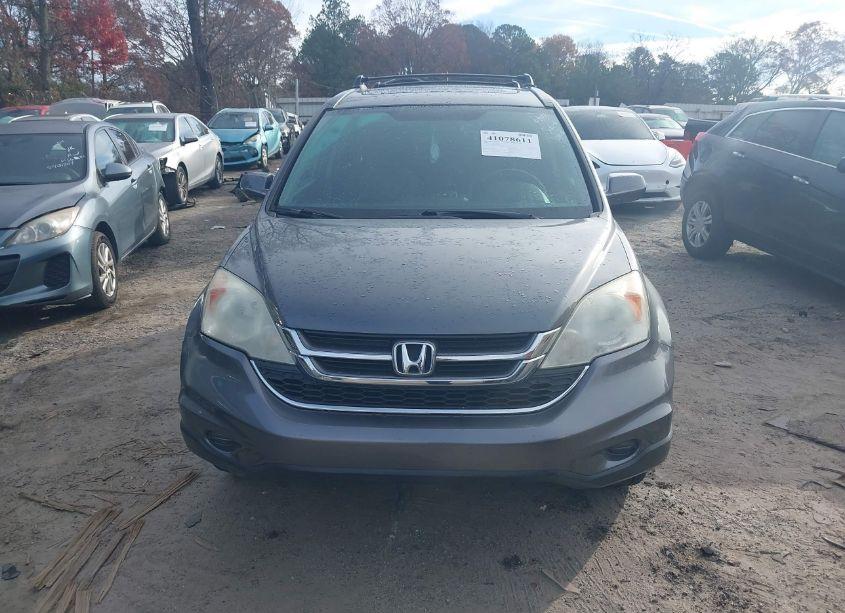 Photo 12 of 2010 Honda Cr-v EX-L (VIN 5J6RE3H7XAL016762)