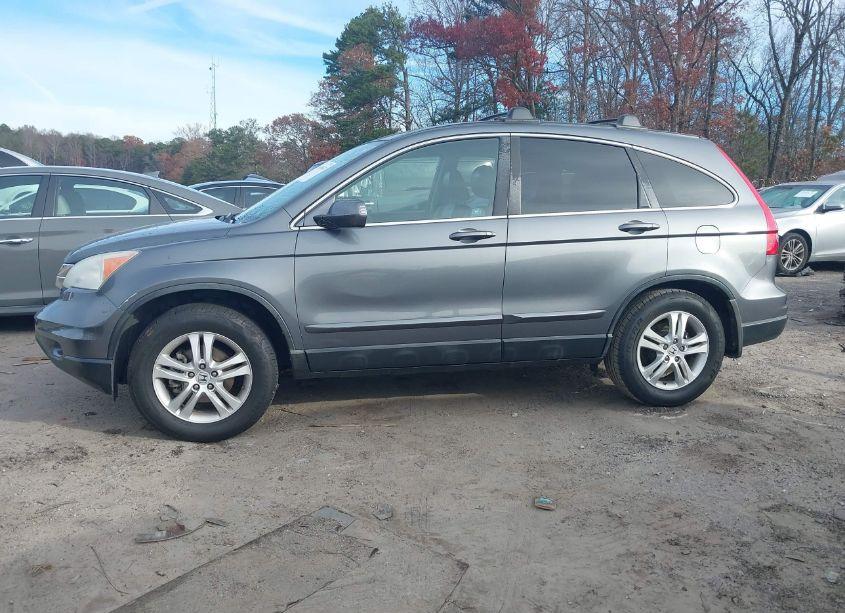 Photo 14 of 2010 Honda Cr-v EX-L (VIN 5J6RE3H7XAL016762)